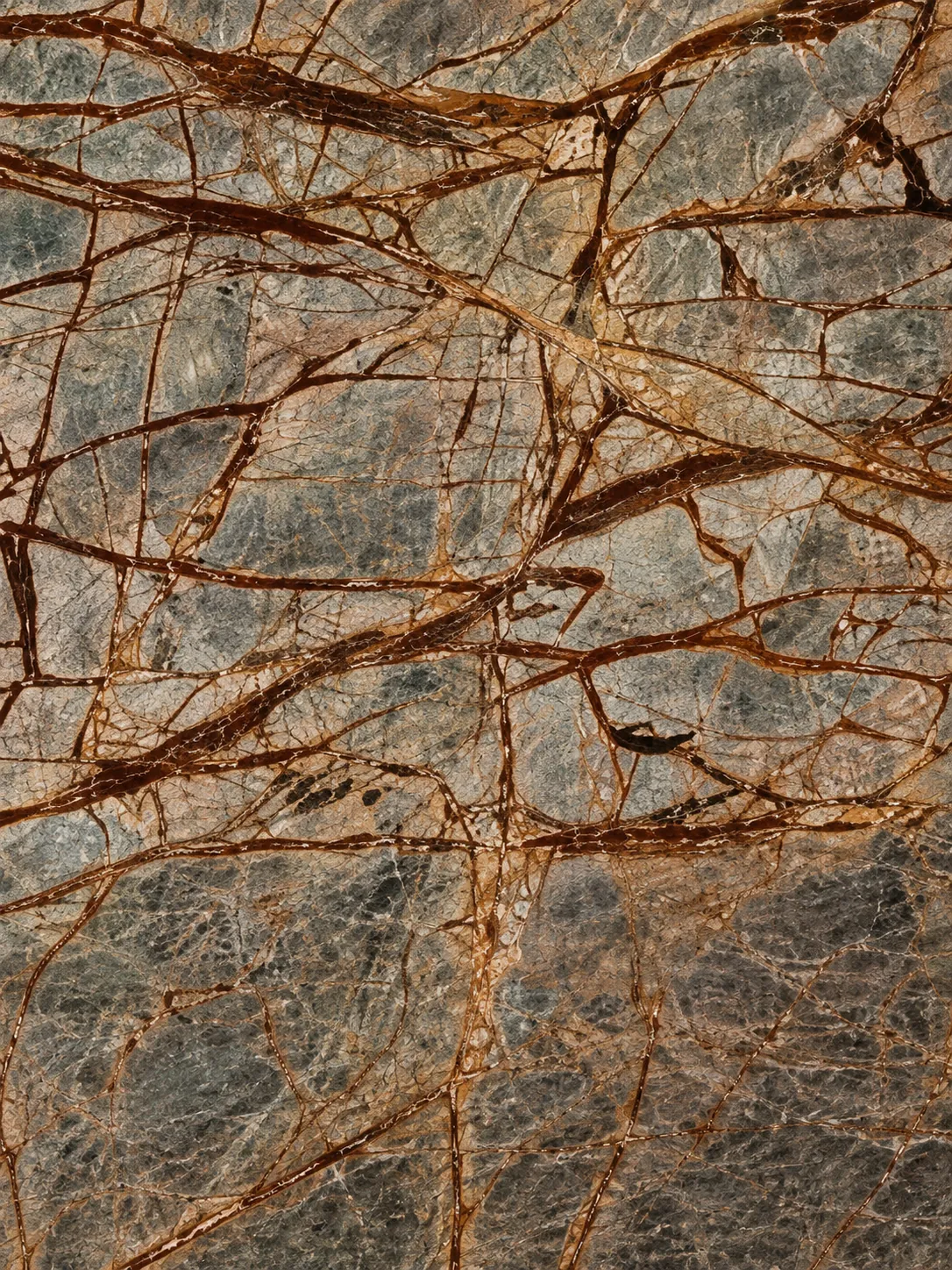 Rainforest Brown marble natural earthy texture