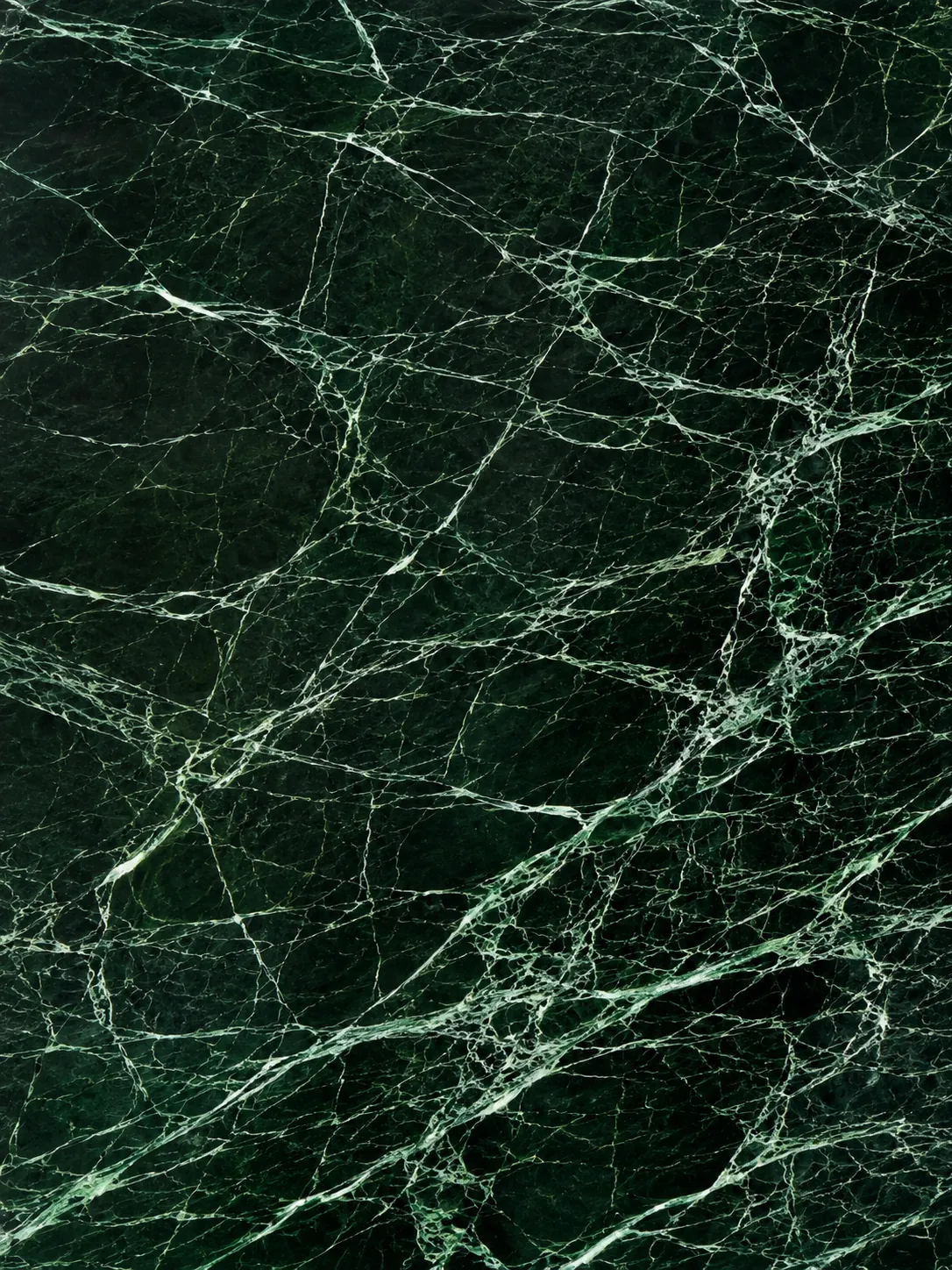 Spider Green marble web pattern texture